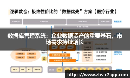 数据库管理系统：企业数据资产的重要基石，市场需求持续增长